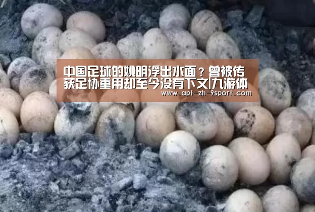 中国足球的姚明浮出水面？曾被传获足协重用却至今没有下文|九游体育