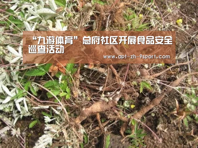 “九游体育”总府社区开展食品安全巡查活动(图1) 九游体育