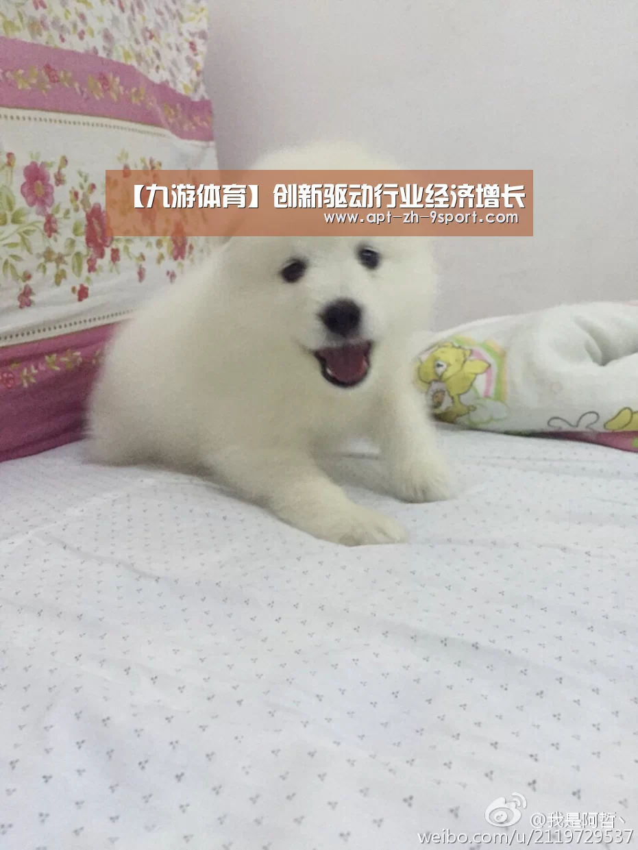 九游体育