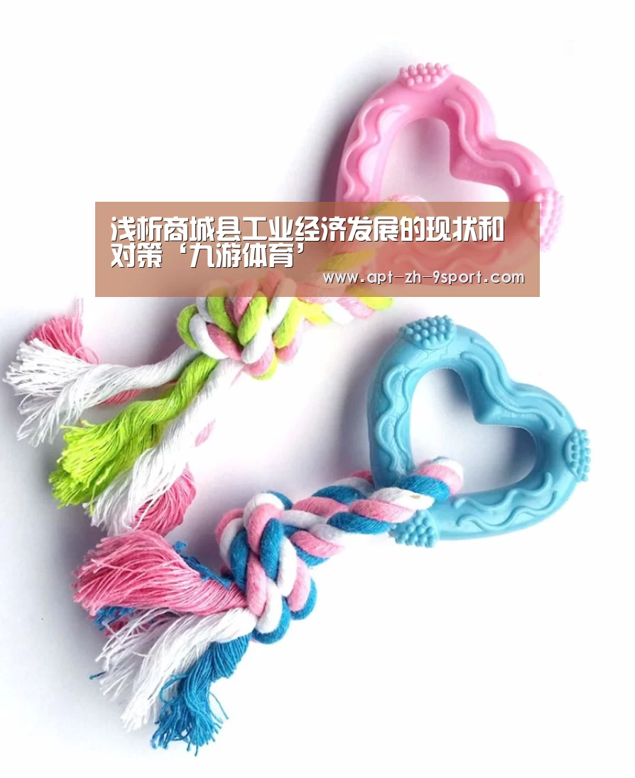 浅析商城县工业经济发展的现状和对策‘九游体育’(图2) 九游体育